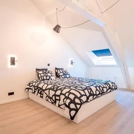 Zilt - A Brand New Near The Sea Ostend