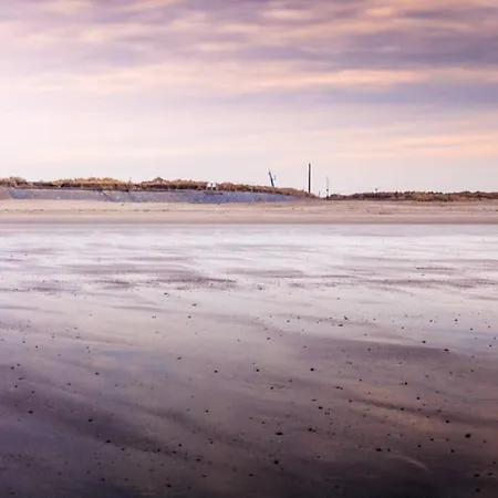 Zilt - A Brand New Near The Sea Ostend